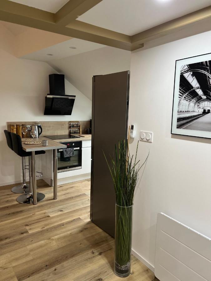 Loft Ravissant Avec Parking Gratuit Apartment Colmar Luaran gambar